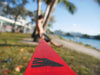 Primate Slackline Kit