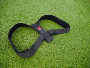 Primate Posture Brace
